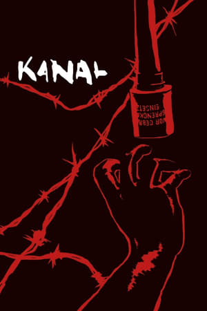 Kanal 2015 Hindi Dual Audio | Hindi Dubbed Movie UnCut HDRip 450MB